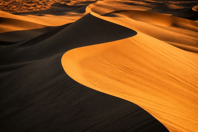 Desert dunes, dramatic shadow and light